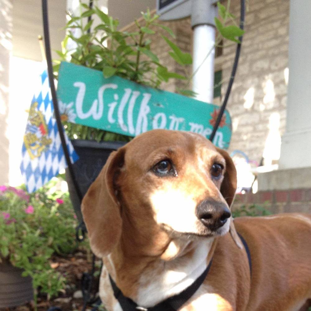 Meet your Posher, Susi